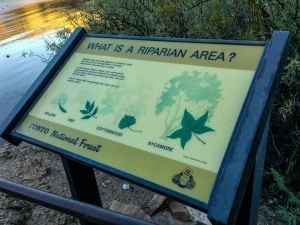 Environmental Information, Butcher Jones Trail / Mt. Pinter Loop, Saguaro Lake