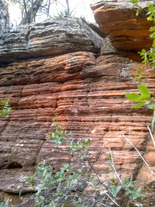 Colorful Surprises Along the Way - Long Canyon Trail, Sedona, Arizona