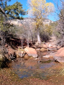 Water Pool along Secret Canyon Trail, Sedona Arizona