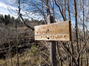 Trail Split on Second Plateau, Wilson Mountain North Trail, Sedona, Arizona