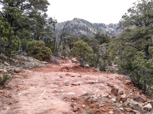 Red Rocky Trail with a Green Peaking Mountain, Horton Creek - Highline - Derrick Trail Loop, Payson, Arizona