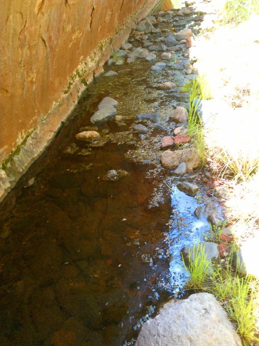 Water Pool Found Along Dry Creek Trail, Sedona, Arizona